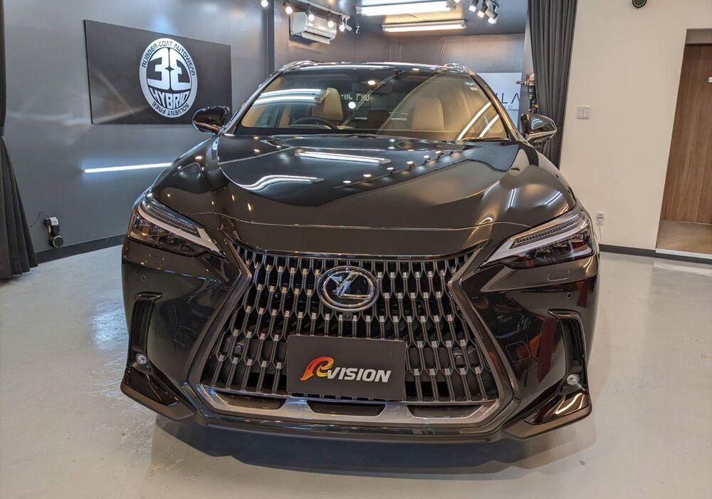 LEXUS NX450h