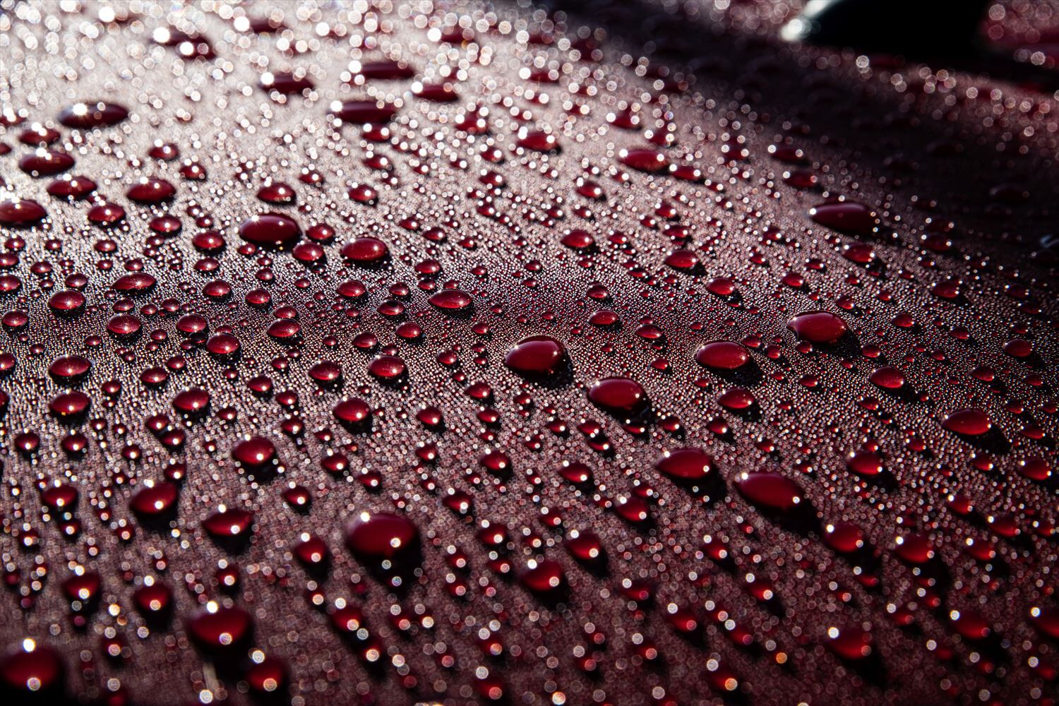 撥水コート